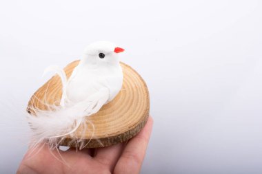 Fake bird on a wood log cut in round thin pieces on white backgr