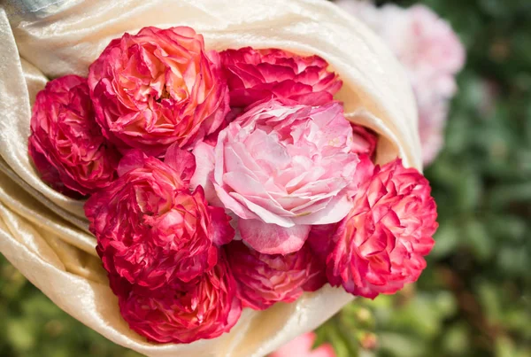 Mekar indah sekelompok mawar di taman — Stok Foto