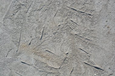 Betondaki lastik izlerini soyut grunge dokusu olarak izler