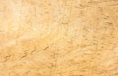 Doğal desenli ahşap doku.