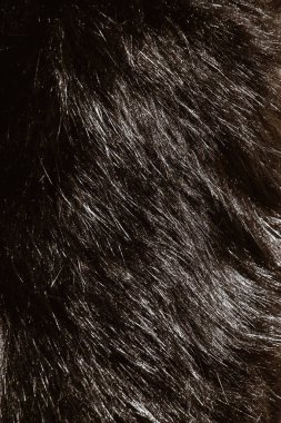 Arka plan olarak dekoratif hayvan kürk 