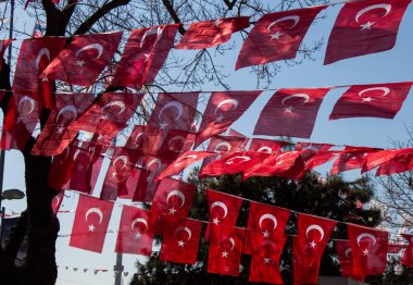 Türk ulusal bayrak görünümünde