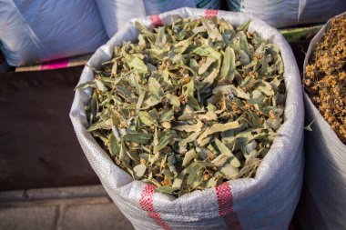 Bitki olarak kuru ıhlamur çayı.