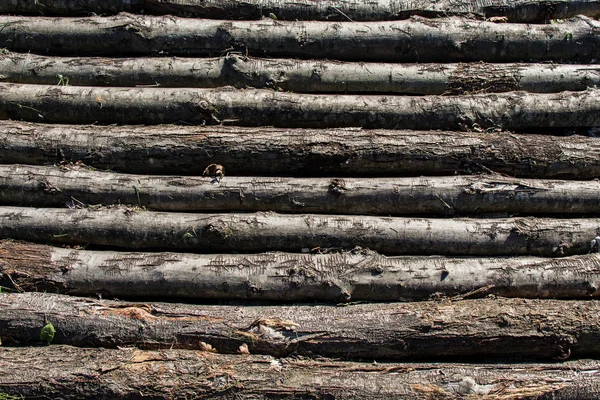 Holz Stock Form Holz Background Textur — Stockfoto