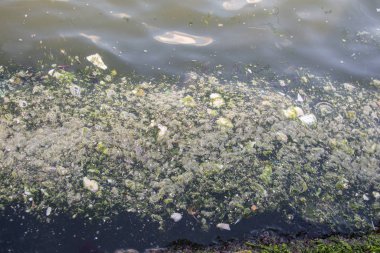 Su arka plan belirli doku desenli