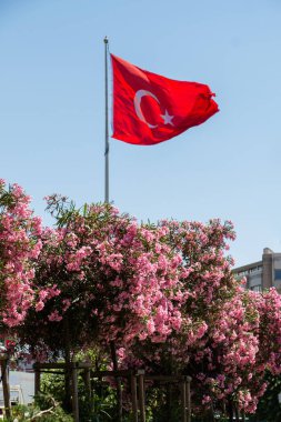 Türk ulusal bayrağı bahçede bir direkte