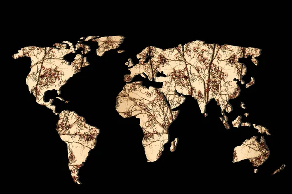 Kabaca özetlenen Dünya Haritası ile Kuru sonbahar dolgu yaprakları — Stok fotoğraf