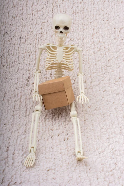 Ludzki Model Szkieletowy Dla Nauki Anatomii — Zdjęcie stockowe