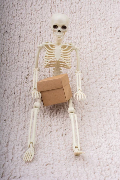 Modelo Esqueleto Humano Para Ciência Anatomia — Fotografia de Stock