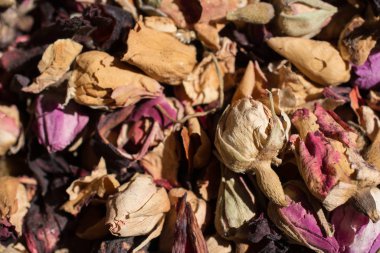 Markette satılık bitkiler var.