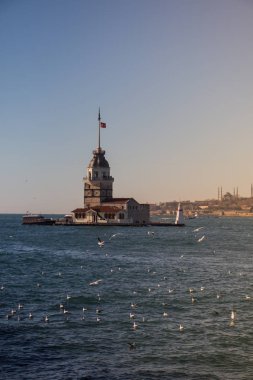 Türkiye 'nin İstanbul kentinde Bakireler Kulesi yakınlarında uçan martılar