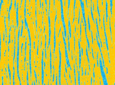 Katı arkaplan dokusu olarak tahta yüzey