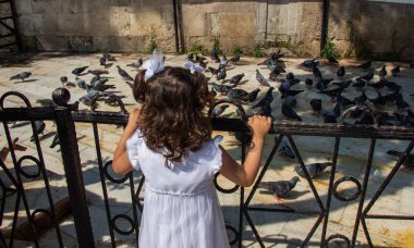 Sevimli güvercin kuşlarının arasında küçük bir çocuk Kentsel bir çevrede besleniyor