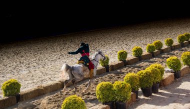 Osmanlı okçusu ata biner ve at sırtında ateş eder.