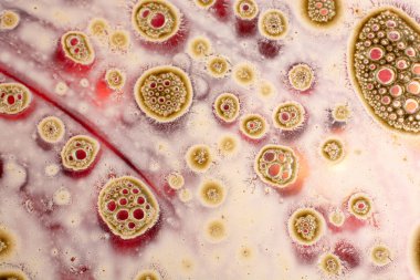 Su tabanında hava kabarcıkları oluşur.