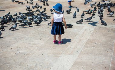 Sevimli güvercin kuşlarının arasında küçük bir çocuk Kentsel bir çevrede besleniyor