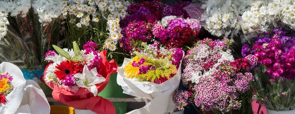 Lindas Flores Vários Tipos Uma Flor Vaso — Fotografia de Stock