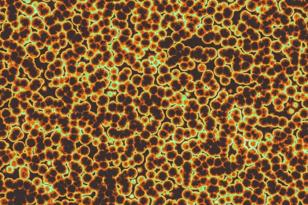 Forma Delle Cellule Batteriche Cocchi Bacilli Spirilla Batteri Sfondo — Foto Stock