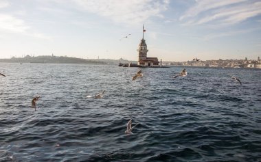 İstanbul, Türkiye 'de Bakire Kulesi yakınlarında uçan martılar