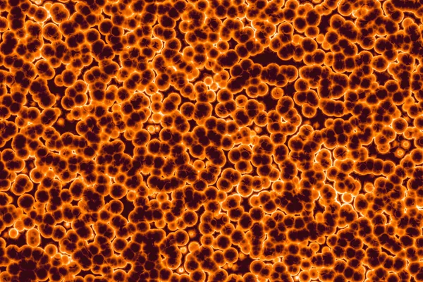 细菌细胞的形状 螺旋菌背景 — 图库照片