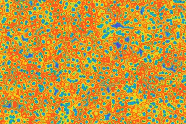 Bakteri hücresinin şekli: cocci, bacilli, spirilla bakteri arka planı