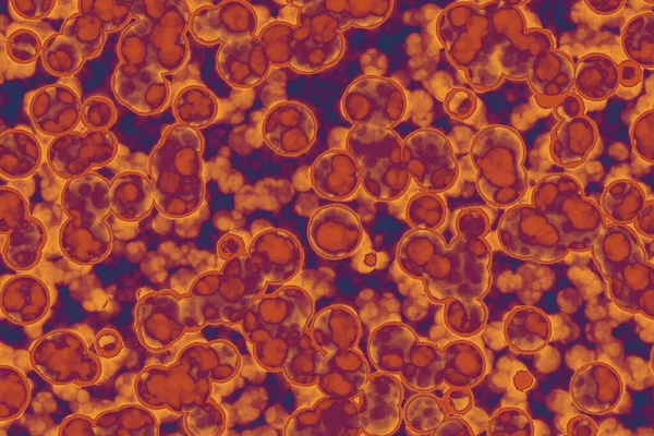Forma Célula Bacteriana Cocos Bacilos Fondo Bacterias Espirilla — Foto de Stock