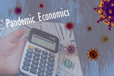 Pandemik krizin finansman ve finansal finansmanı kavramı