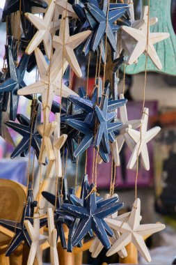 Seyahat konsepti için tropikal deniz yıldızının doğal maddeleri