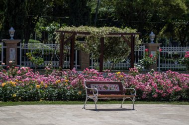 Gül bahçesinin ortasında tahta bir bank bulundu.