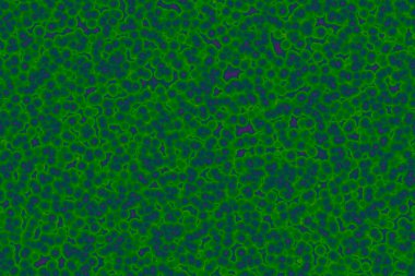 Bakteriler mikro organizmalar hastalık yapan nesneler, bakteriler, virüsler.