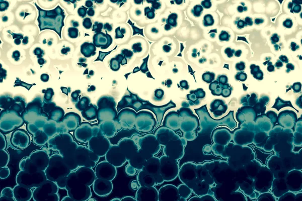 Shape of bacterial cell: cocci, bacilli, spirilla bacteria background