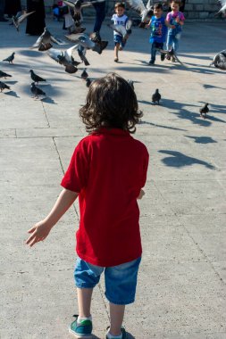 Sevimli güvercin kuşlarının arasında küçük bir çocuk Kentsel bir çevrede besleniyor