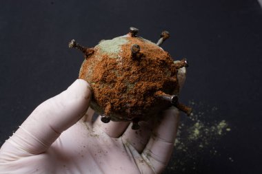 COVID-19 Corona virüsü küresel salgın hastalıklar konsepti