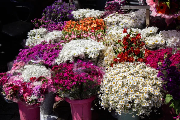 Blooming Beautiful Colorful Natural Flowers Market — Stock Photo, Image