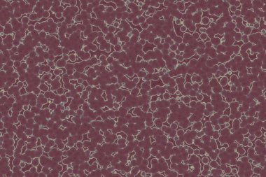 Bakteriler mikro organizmalar hastalık yapan nesneler, bakteriler, virüsler.