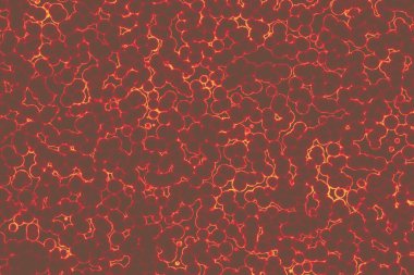 Bakteriler mikro organizmalar hastalık yapan nesneler, bakteriler, virüsler.