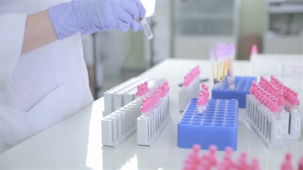 Unrecognizable scientist making laboratory analysis of blood in modern pharmacy, medical laboratory. — Stock Video