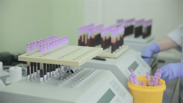 Cientista irreconhecível fazendo análise laboratorial de sangue na farmácia moderna, laboratório médico . — Vídeo de Stock