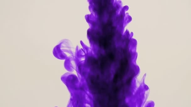 Heller Hintergrund. violette Tinte im Wasser. Zeitlupe. — Stockvideo