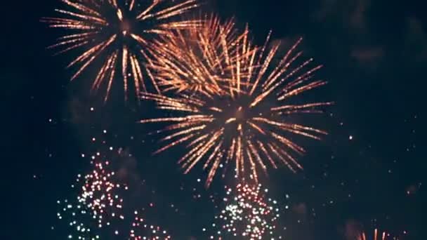 Feliz Año Nuevo múltiples fuegos artificiales . — Vídeo de stock