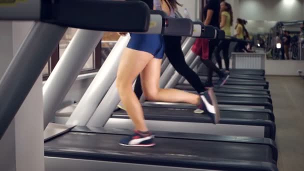 Las piernas de muchas personas que hacen ejercicios en la cinta de correr en el club deportivo. Movimiento lento . — Vídeo de stock