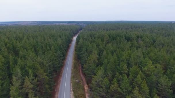 Vuelo de cámara sobre carretera en madera. Bosque denso con camino vacío desde arriba. Antena . — Vídeos de Stock