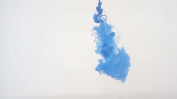 Colourfull background. Blue ink dropped in water. Slow motion. — Stock Video