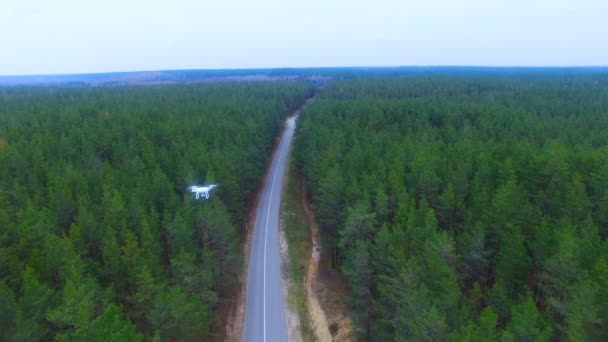 Drone survolant une route dans une forêt. Plan aérien .