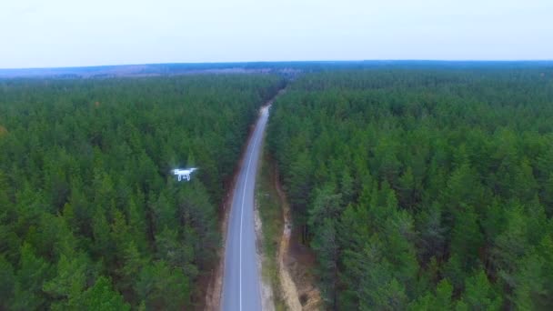 Drone volando sobre la carretera en un bosque. Disparo aéreo . — Vídeos de Stock