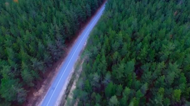 Політ камери над дорогою в лісі. Густий ліс з порожньою дорогою зверху. Повітряні . — стокове відео