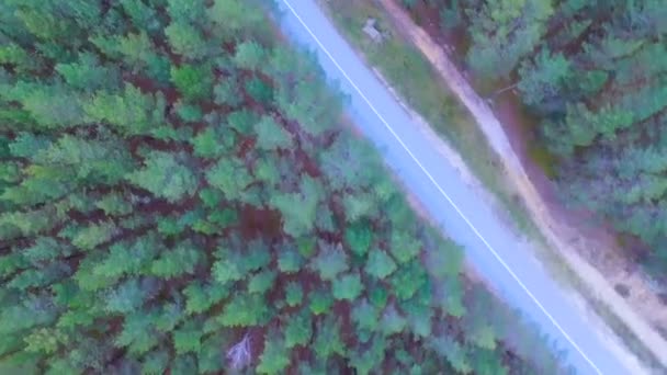 Vuelo de cámara sobre carretera en madera. Bosque denso con camino vacío desde arriba. Antena . — Vídeos de Stock