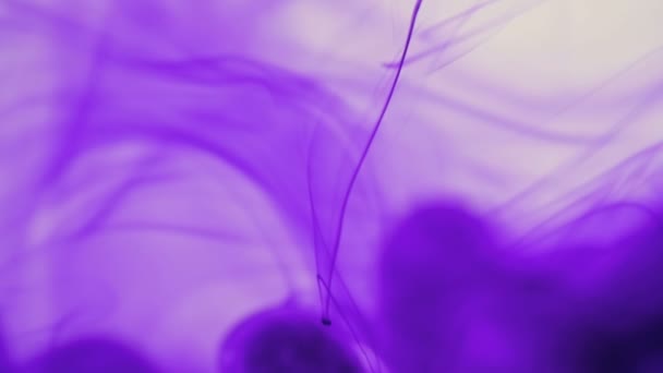 Encre violette dans l'eau . — Video