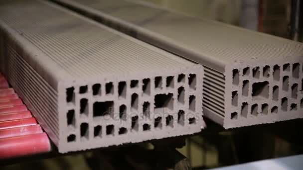 Building blocks, bricks production. Conveyor with building bricks at a bricks production plant. — Stock Video