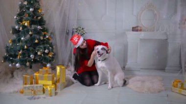 Regaling ve Noel ağacı yakınındaki husky köpek ile oynayan kız.